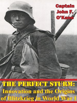 cover image of The Perfect Sturm